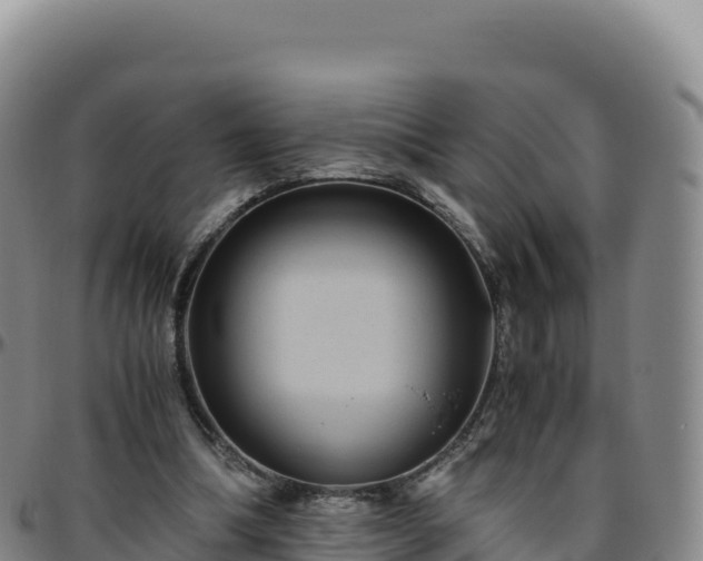 X0000096480298200801311602