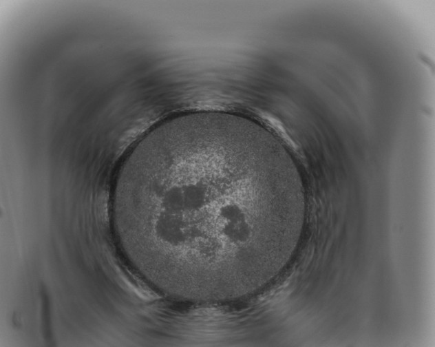 X0000096480299200801311602