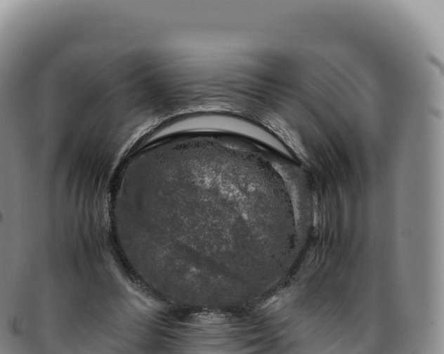 X0000096480300200801311602