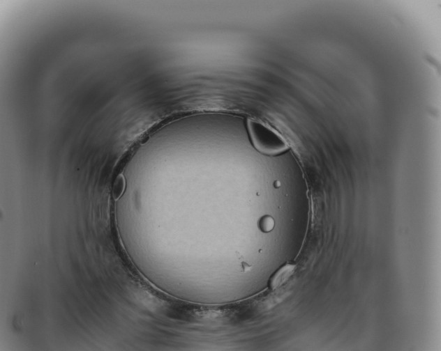 X0000096480301200801311602