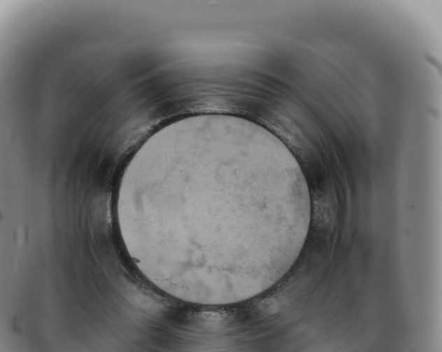 X0000096480302200801311602