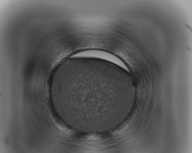 X0000096480303200801311602