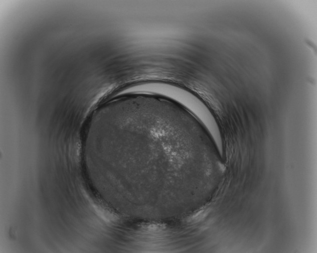 X0000096480304200801311602