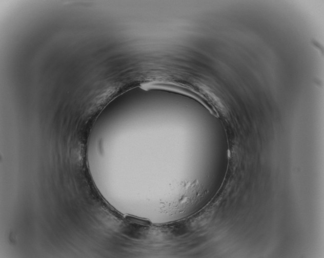 X0000096480305200801311602