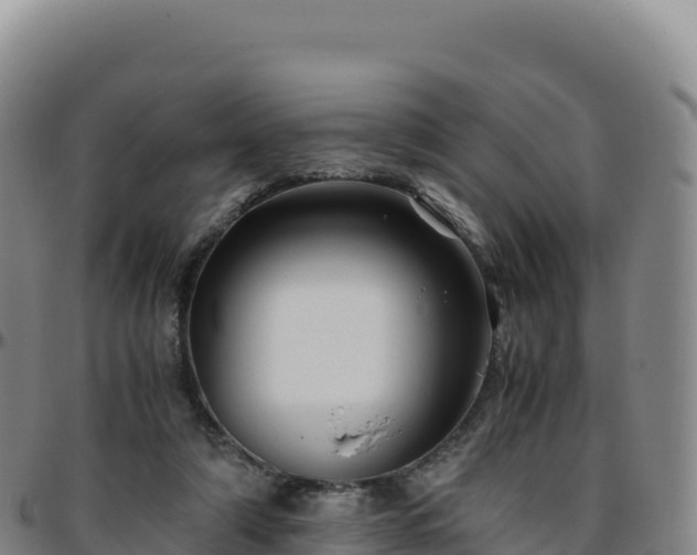 X0000096480306200801311602