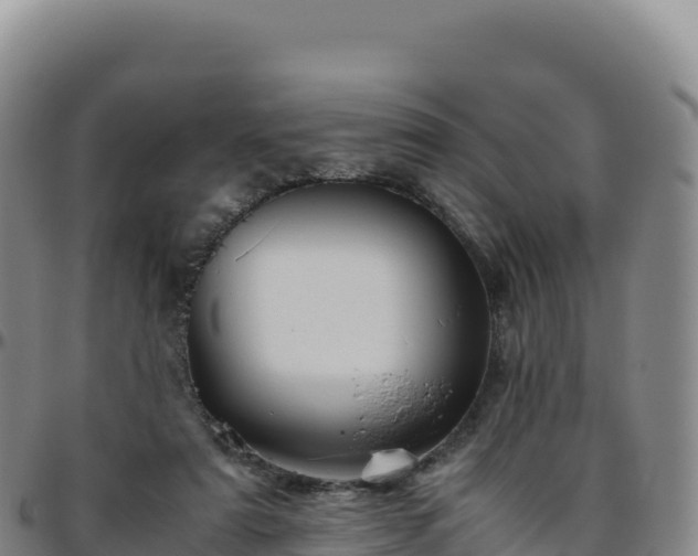 X0000096480307200801311602