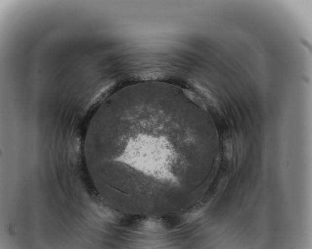 X0000096480308200801311602