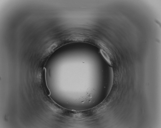 X0000096480309200801311602