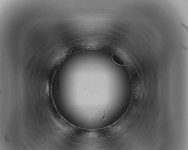 X0000096480310200801311602