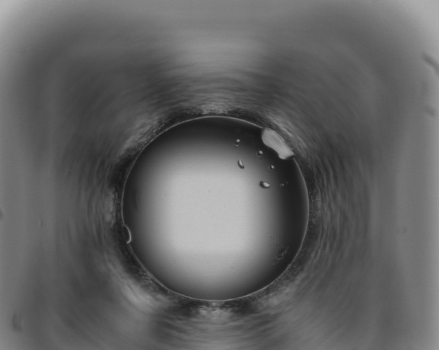 X0000096480311200801311602