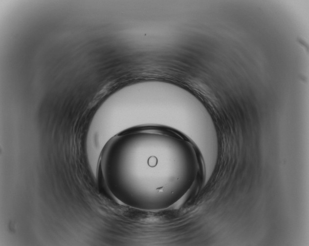 X0000096480312200801311602