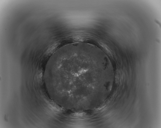 X0000096480314200801311602