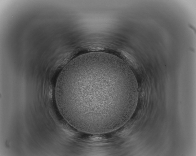 X0000096480315200801311602