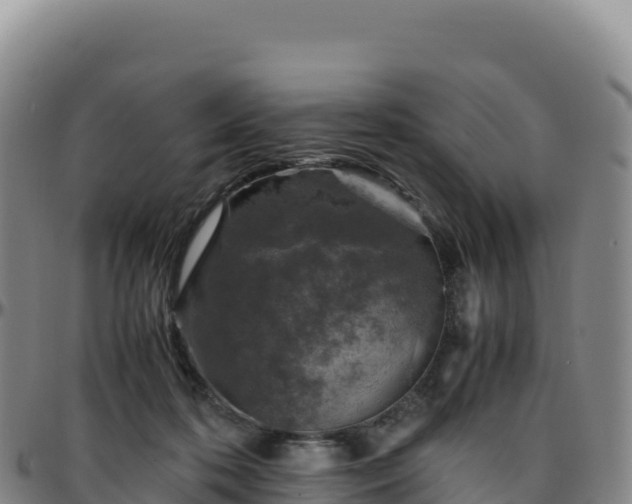 X0000096480316200801311602