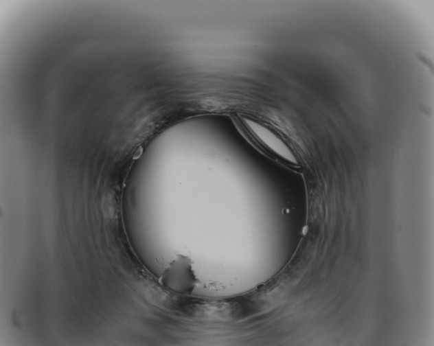 X0000096480317200801311602