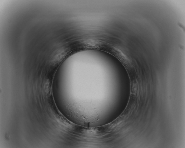 X0000096480318200801311602