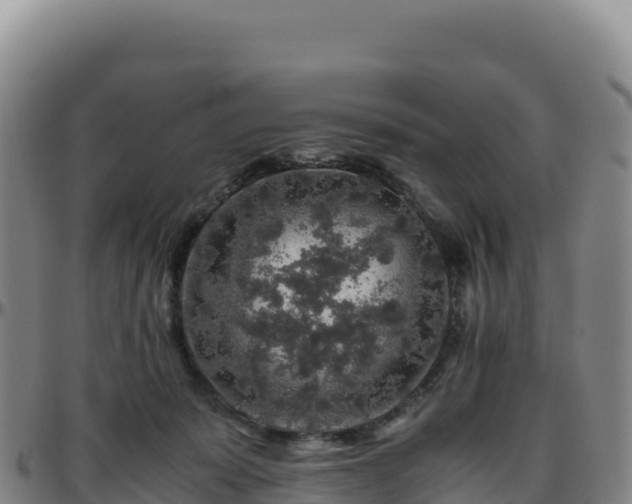 X0000096480319200801311602