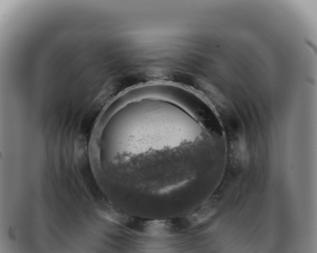 X0000096480320200801311602