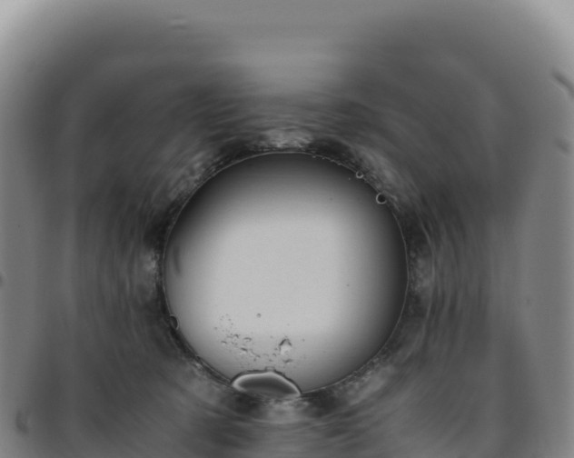 X0000096480321200801311602