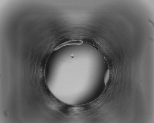 X0000096480323200801311602