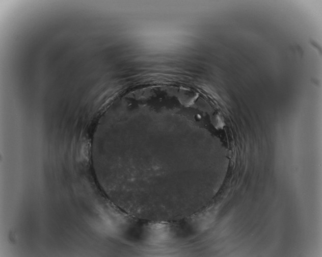 X0000096480325200801311602