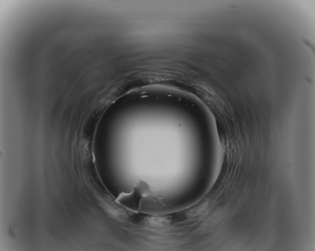 X0000096480327200801311601