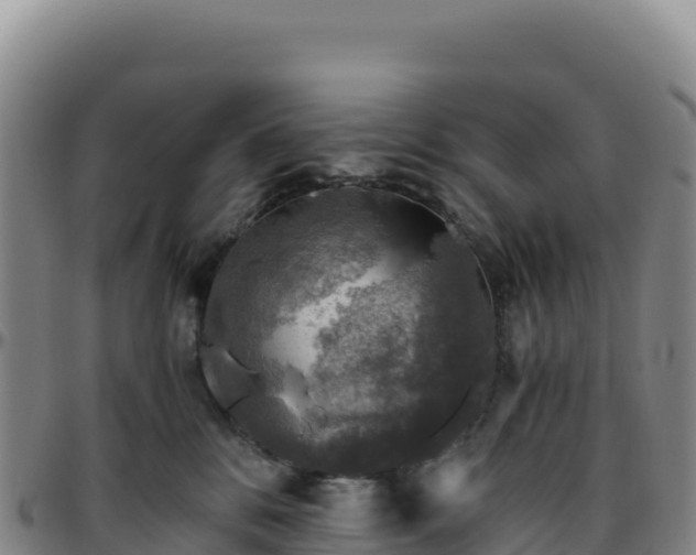 X0000096480328200801311601