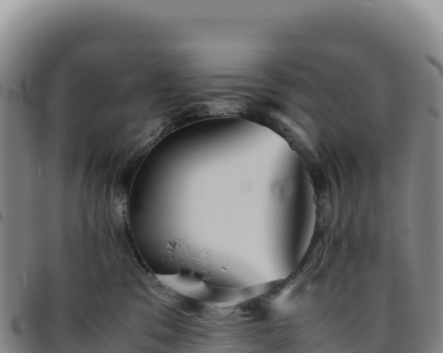 X0000096480329200801311601