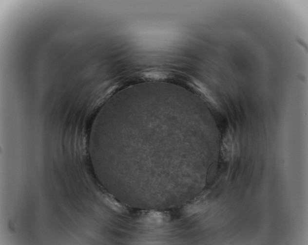 X0000096480330200801311601