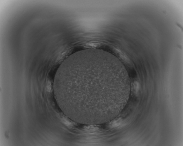 X0000096480331200801311601