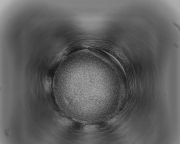 X0000096480332200801311601