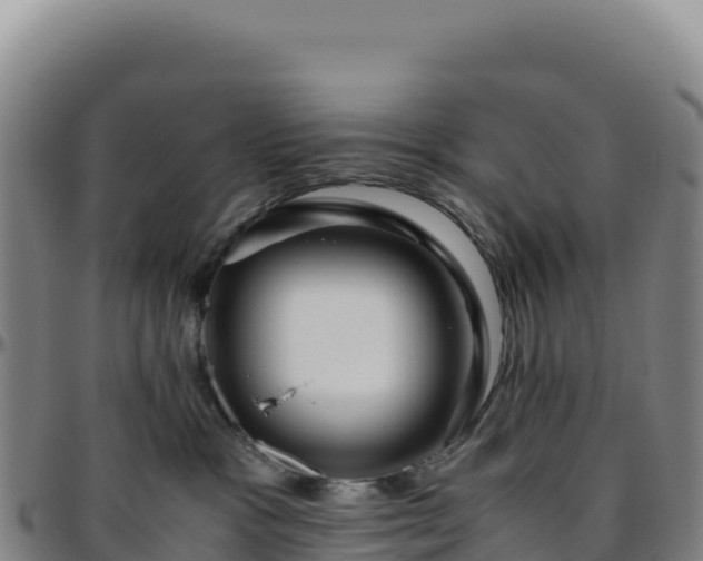 X0000096480333200801311601