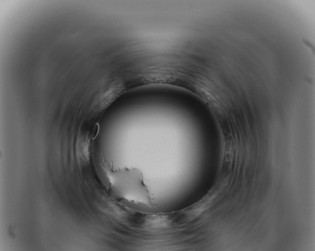 X0000096480334200801311601