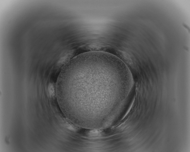 X0000096480335200801311601