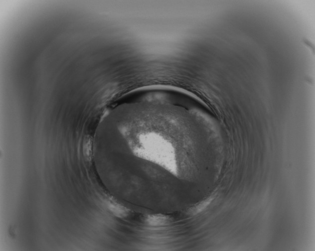 X0000096480336200801311601