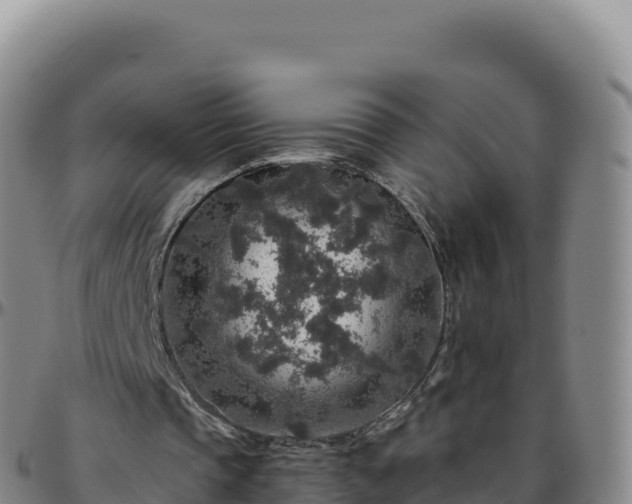 X0000096480337200801311601