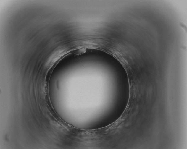 X0000096480338200801311601