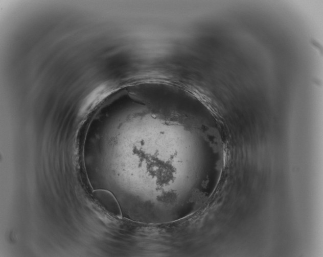 X0000096480339200801311601