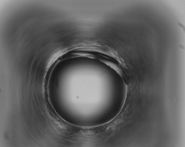 X0000096480340200801311601