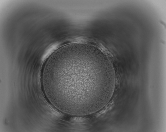 X0000096480341200801311601