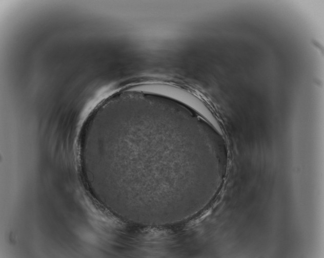 X0000096480343200801311601