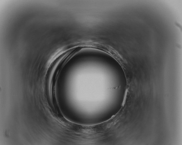 X0000096480344200801311601