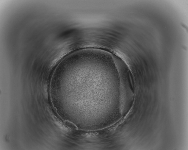 X0000096480345200801311601