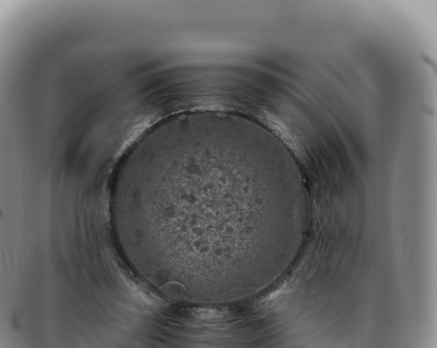 X0000096480347200801311601