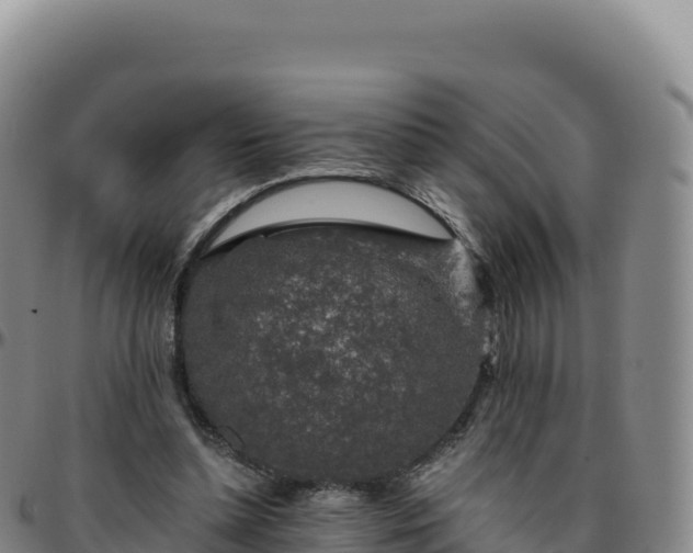 X0000096480348200801311601