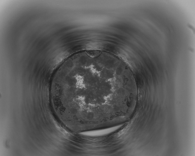 X0000096480349200801311601