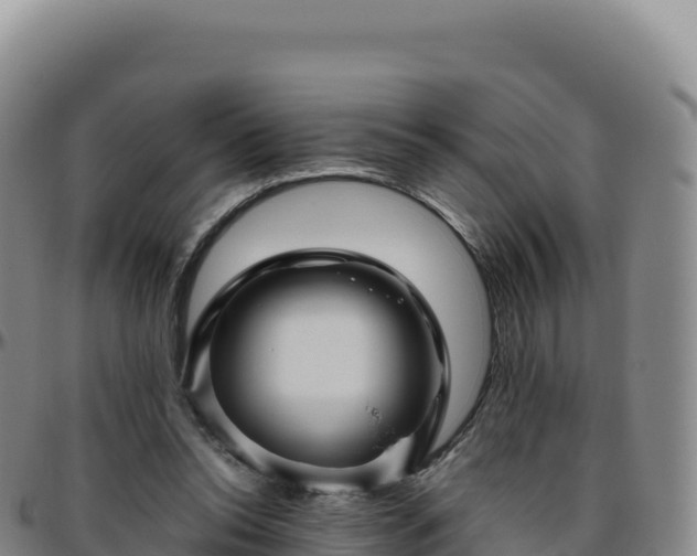 X0000096480350200801311601