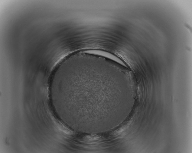 X0000096480351200801311601