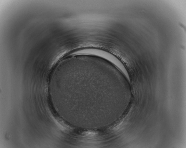 X0000096480352200801311601