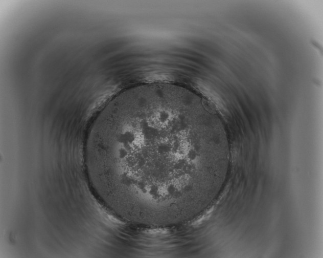 X0000096480353200801311601